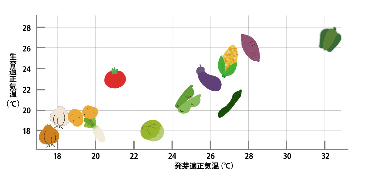 野菜の育成には気温が大きく影響する