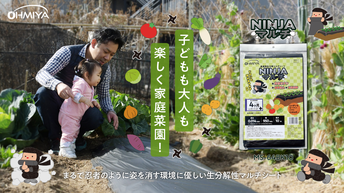 NINJAマルチ10ｍ