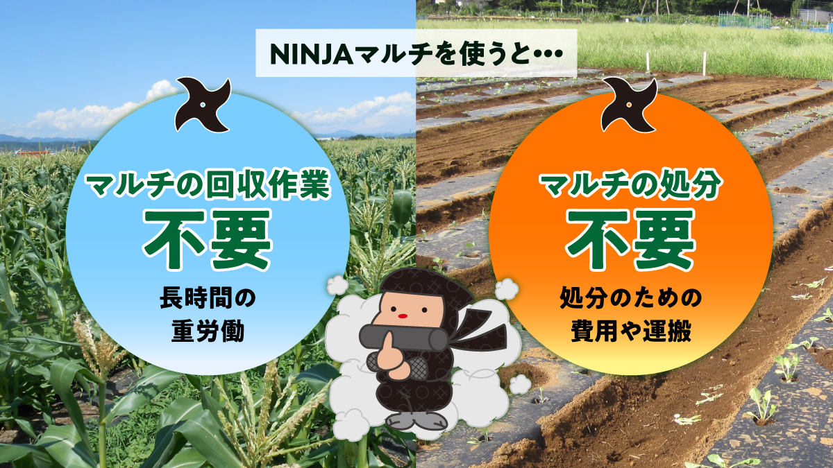 回収作業と処分手数料が不要
