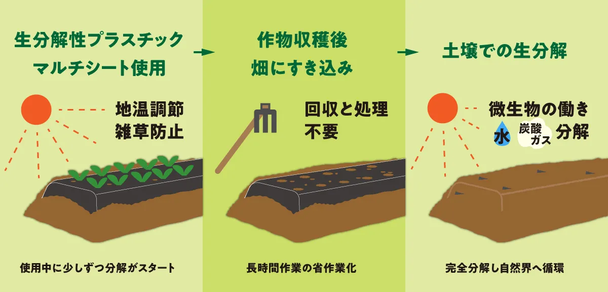 生分解マルチとは
