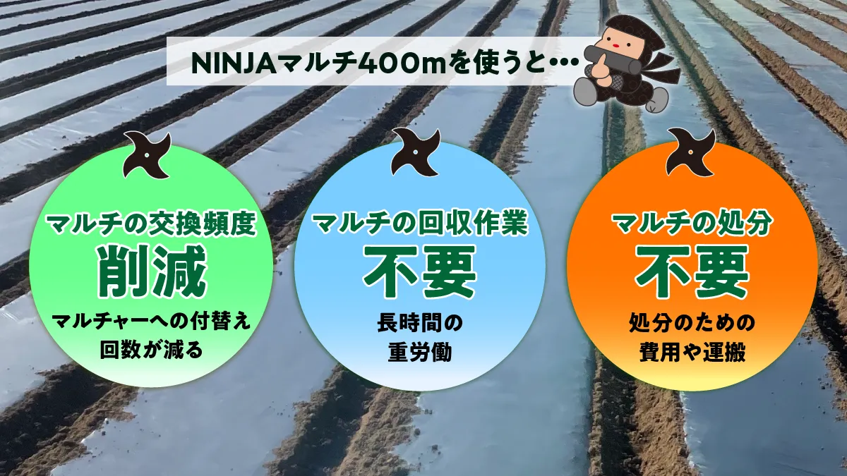 回収作業と処分手数料が不要