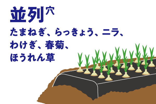951545モデル（5列平行）