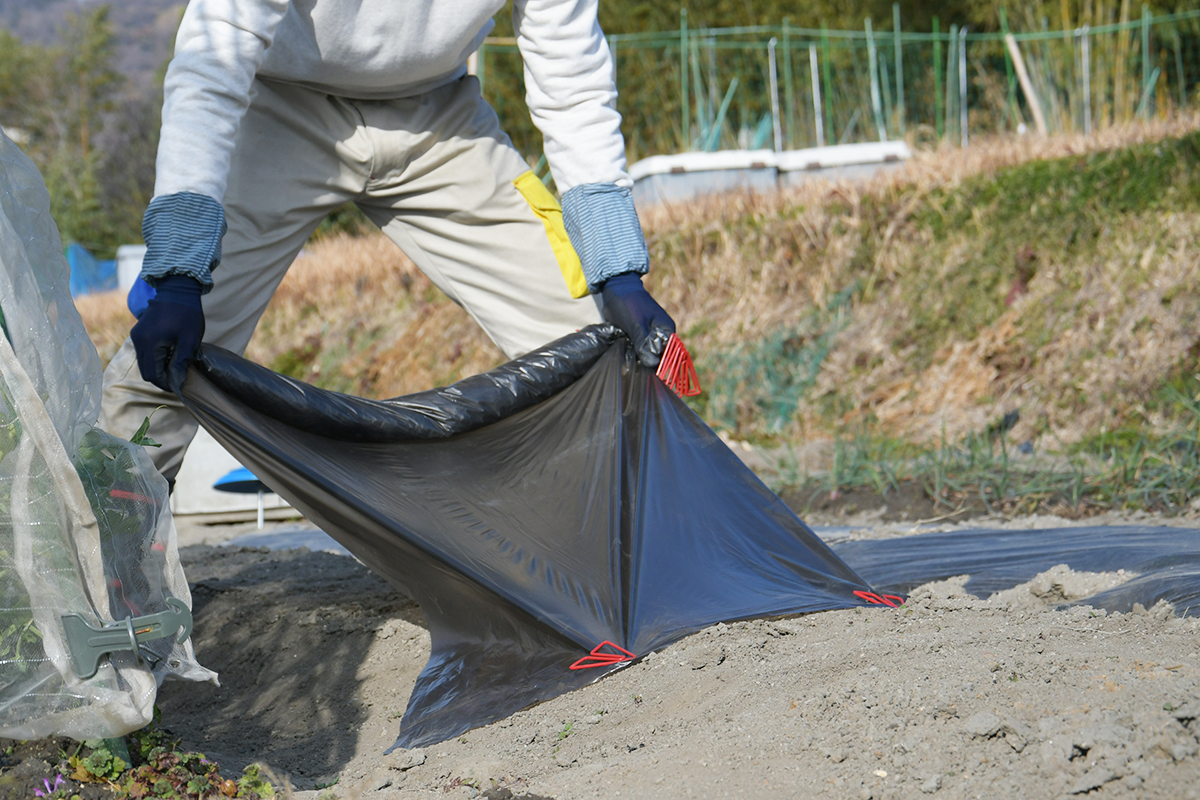 ギャラリー写真01