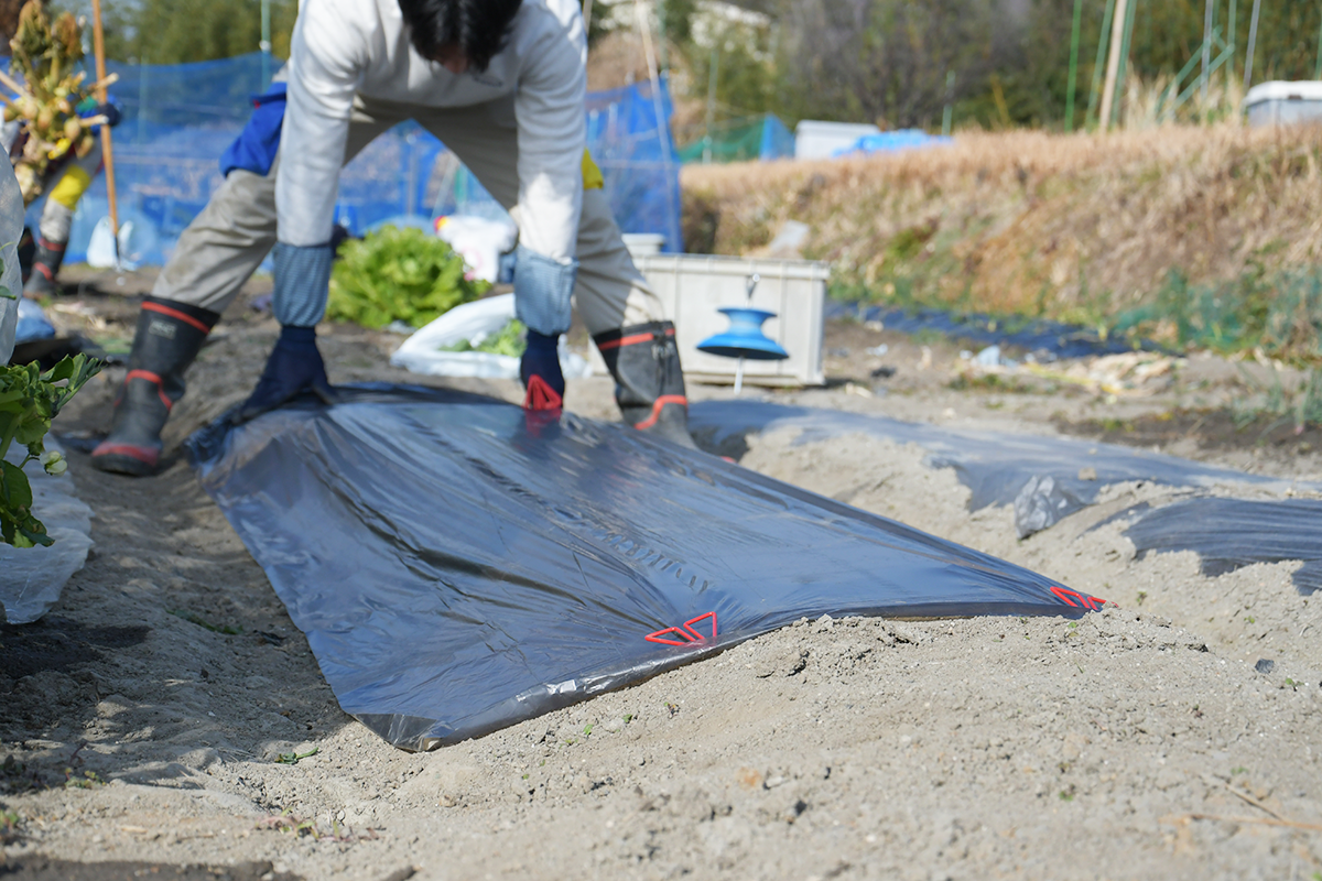 ギャラリー写真02