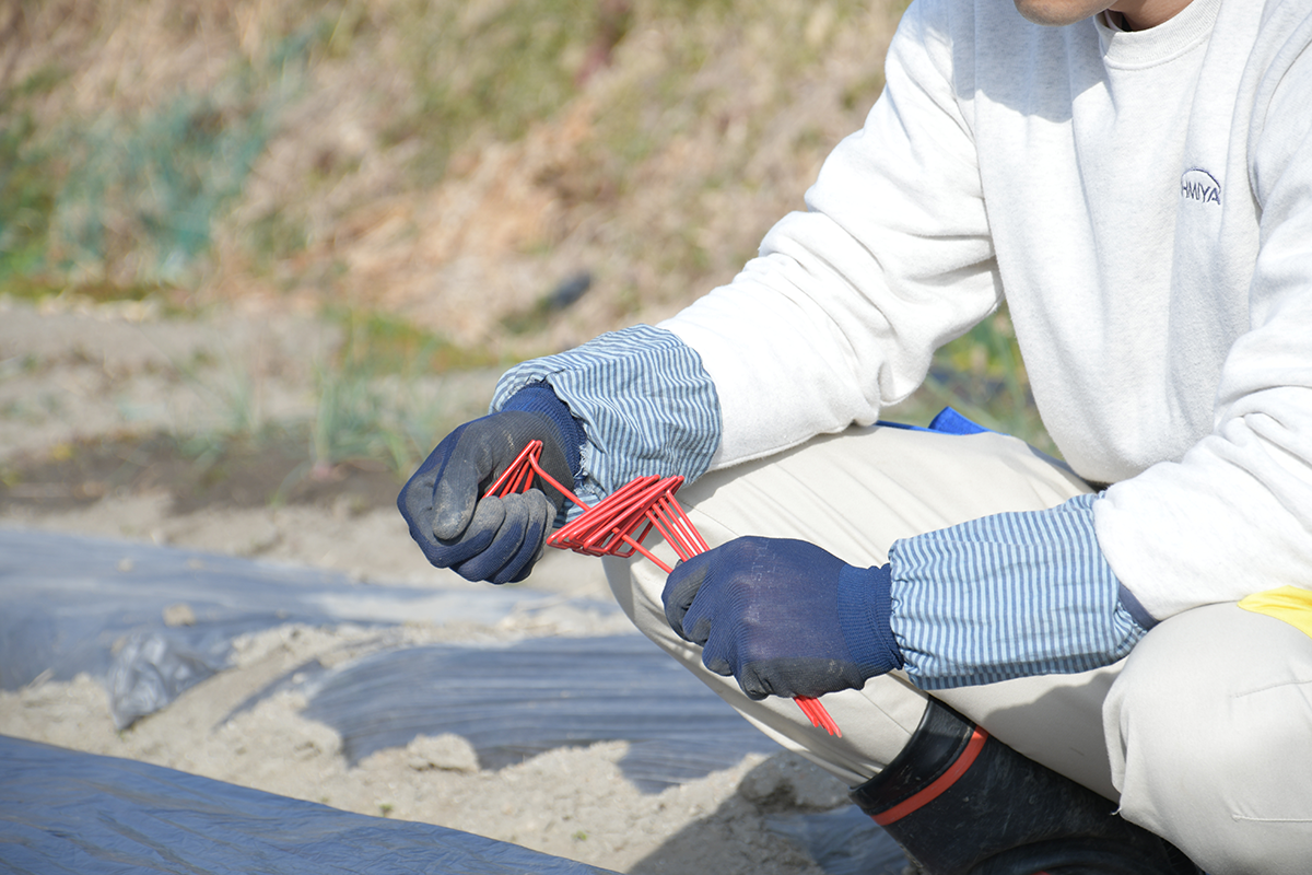 ギャラリー写真03