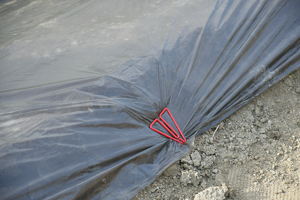 ギャラリー写真06