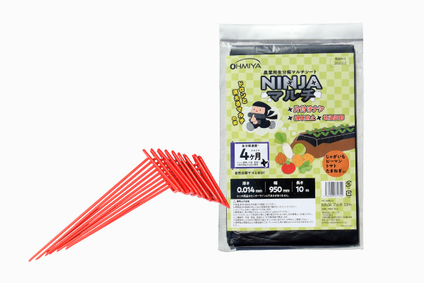 NINJAマルチピンピンピンカサナール(10)セット