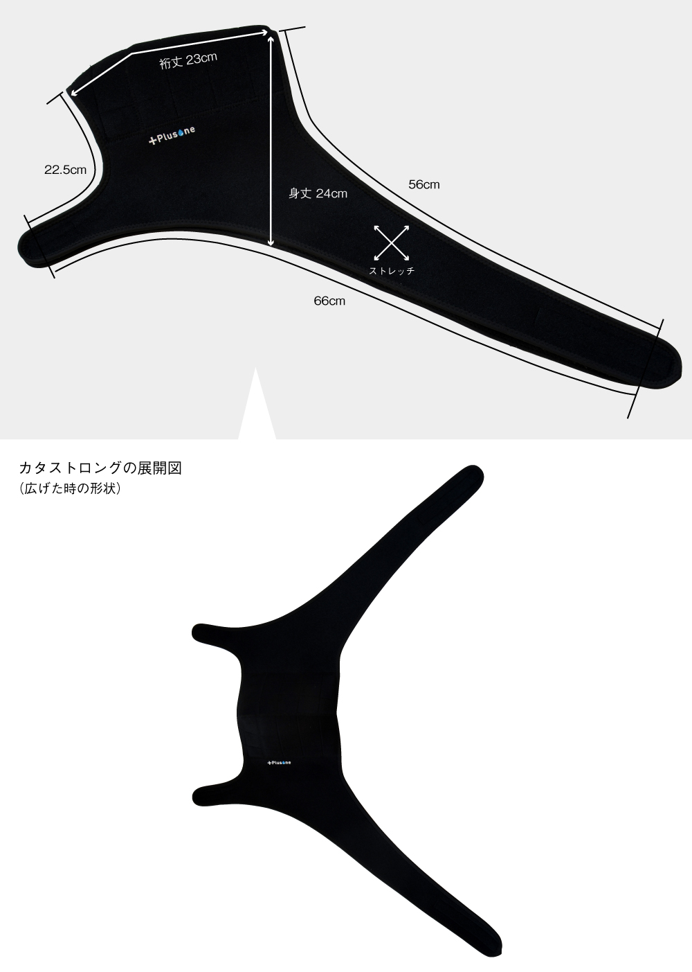 寸法図