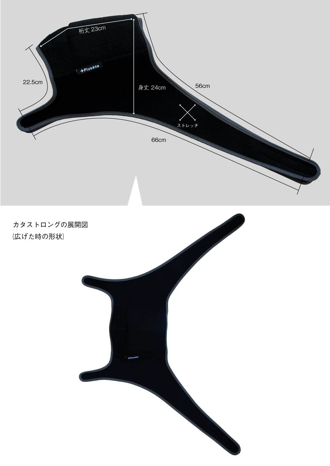 寸法図