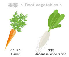 根菜（人参、大根）