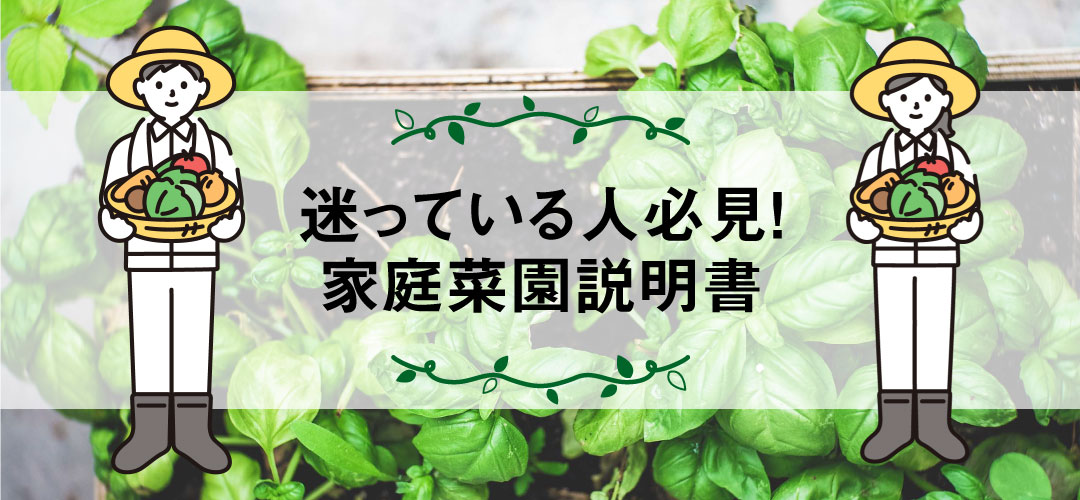 初めての家庭菜園